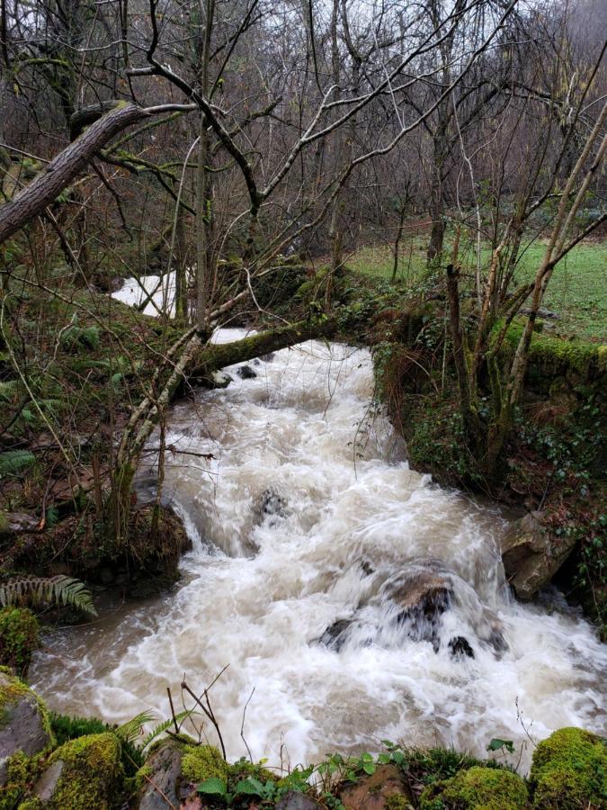 La Cabana Del Rio San Roque de Ríomiera Εξωτερικό φωτογραφία