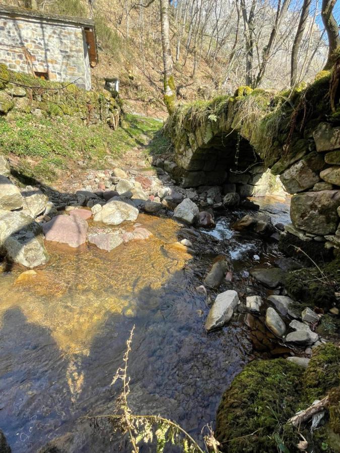 La Cabana Del Rio San Roque de Ríomiera Εξωτερικό φωτογραφία